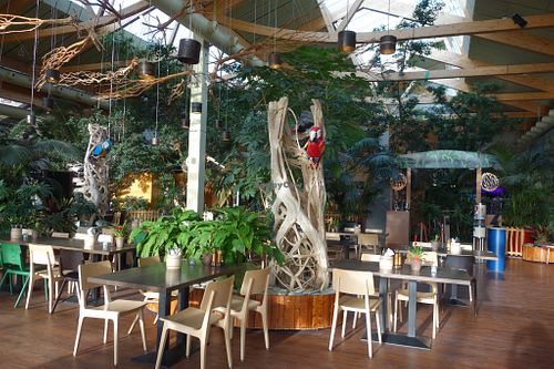 Enjoy your meal with parrots watching over you! at The Market Restaurant in Nohfelden