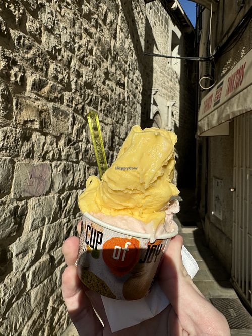   at Bili San - Home Made Natural Ice Cream in Split