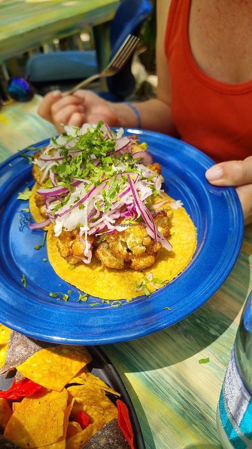 Cauliflower tacos (delish) at Sanchez in Playa Del Carmen