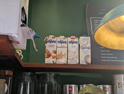 Plant milks at Kesh Cup in Marrakech