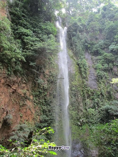 This is the waterfall that they have on their grounds.  It was a pleasant hike, with some climbing up and down ladders. at Vista Del Valle Plantation Inn in Rosario De Naranjo