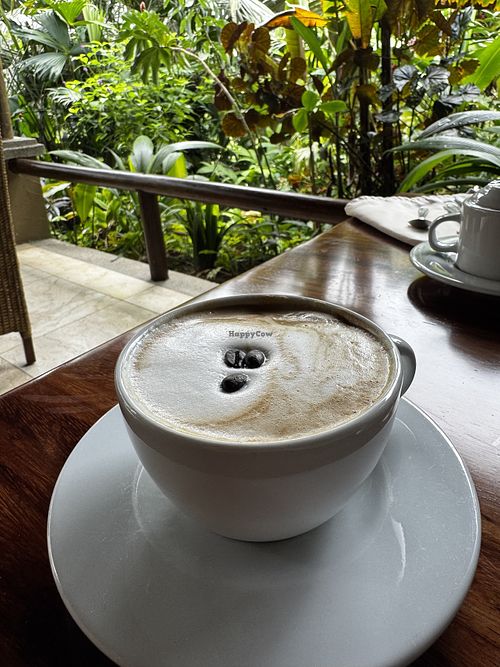 Soy milk latte   at Lost Iguana Resort in La Fortuna