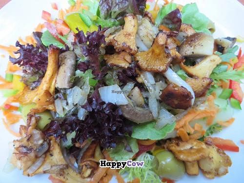 Mixed salad with fried chanterelles at Restaurant Café Kostbar in Saarbrucken