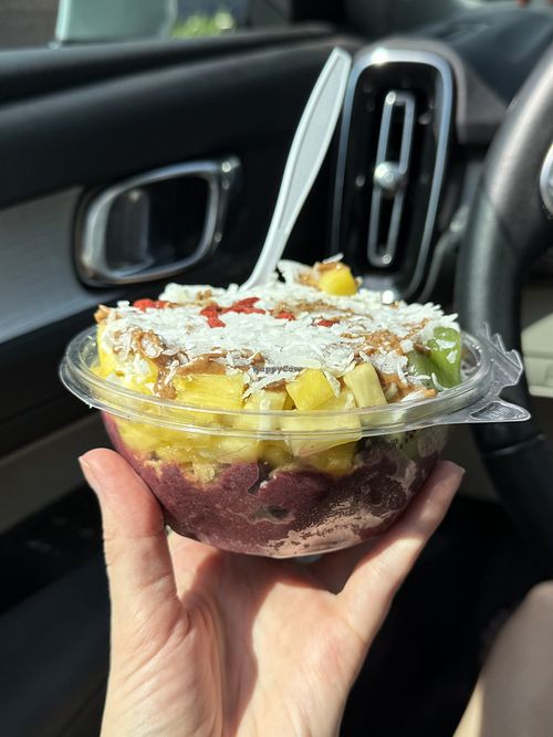   at Palm Berries in Boone