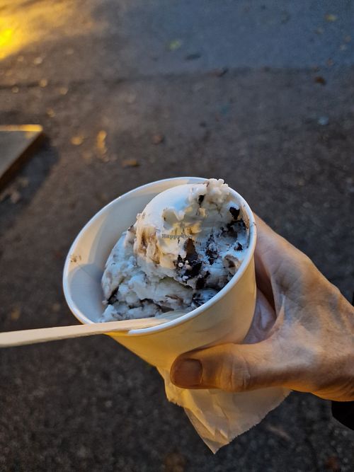 Vegan bounty WOW at Sisters Kurtoš in Zagreb