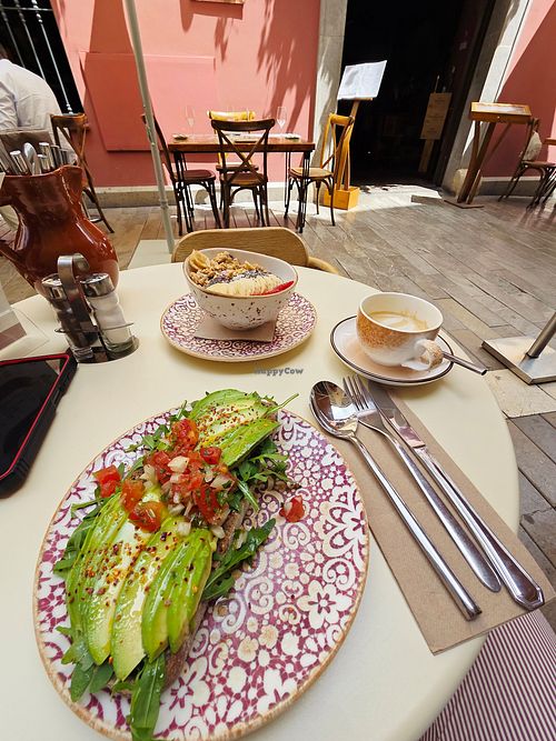 Avocado Brot at Mi Cafetico in Malaga