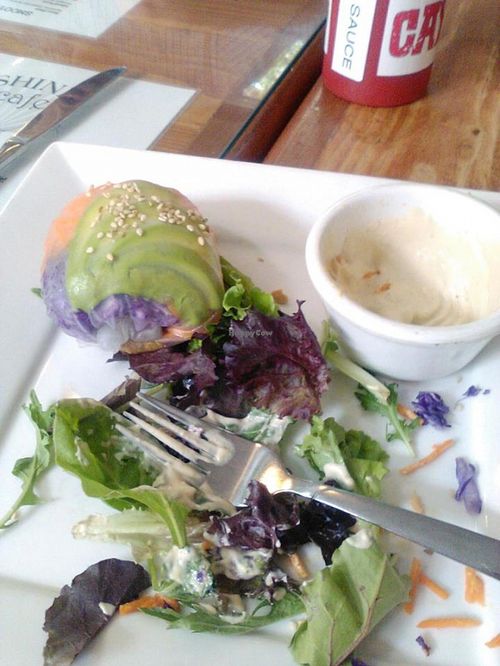 Spring rolls at Shine Cafe in Morro Bay