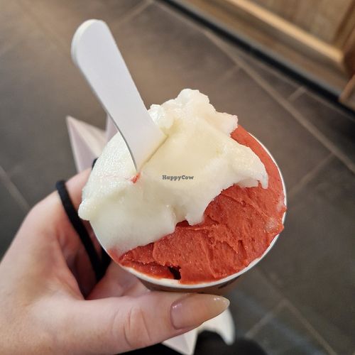  at Amorino   in St Julians