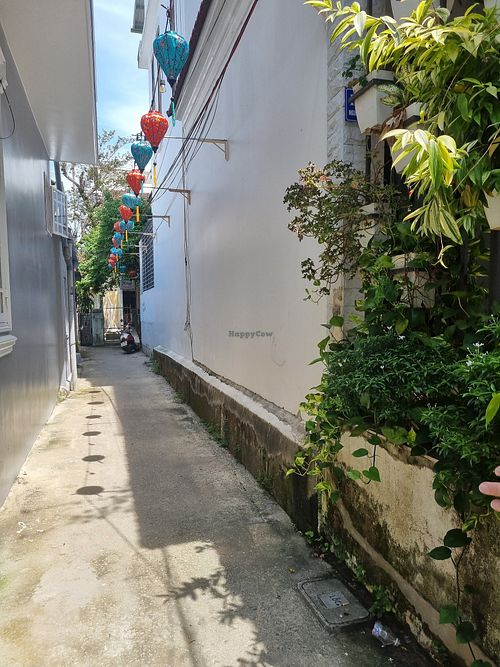  at Mingle Cafe in Hue