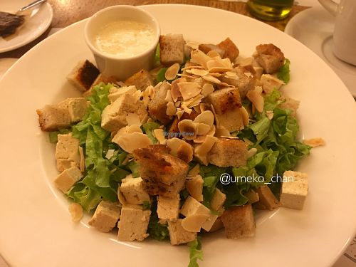 Cesar salad at Zrno Bio Bistro in Zagreb