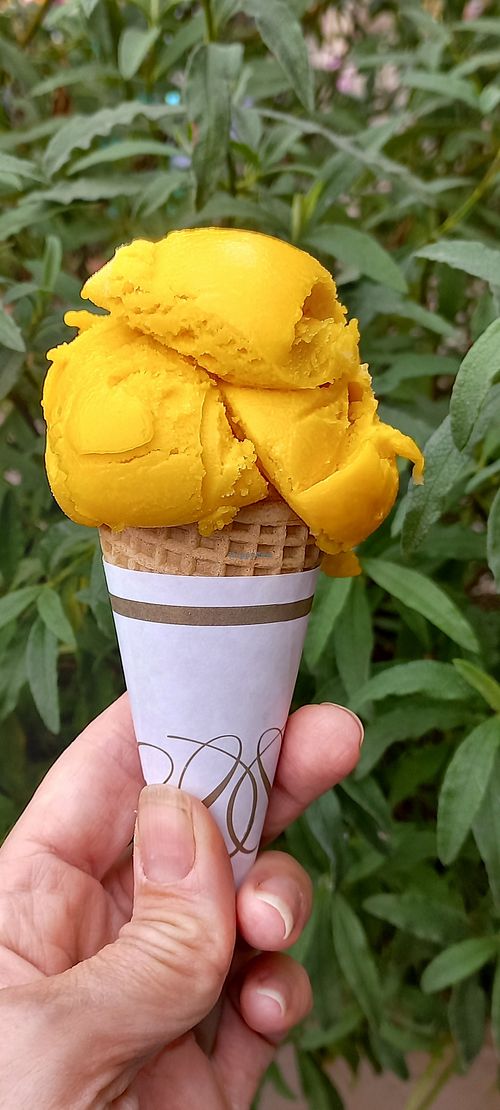 Jude's mango sorbet at The Homestead Cafe in Beckenham