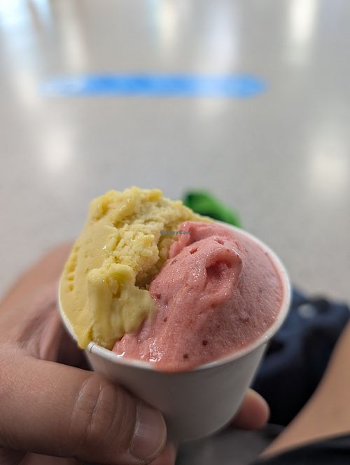  at CJU - Tiamo Gelato in Jeju