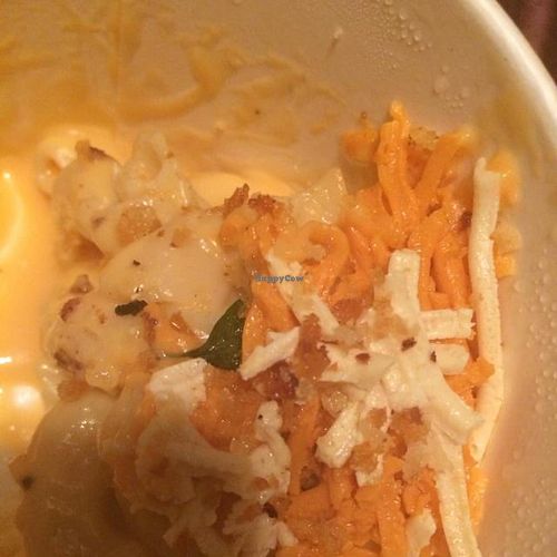 Mac and cheese Wow! at Darbster - Boca Raton in Boca Raton