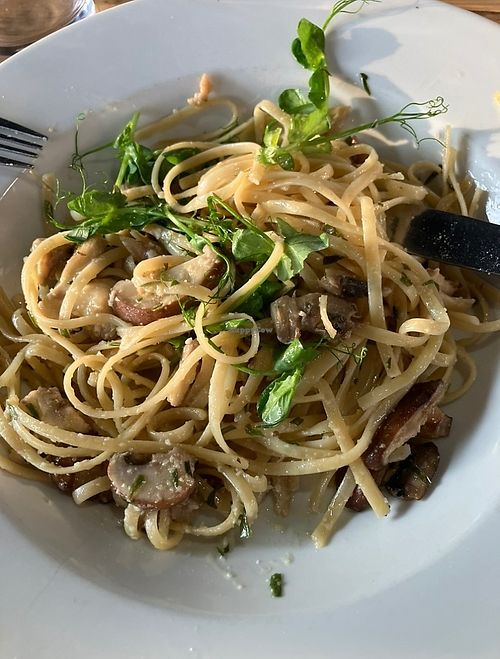Just pasta, olive oil, and mushrooms - not terrible but very bland for the price! at Casa Bianca in Hereford