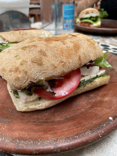 Tofu Pesto Ciabatta  at Xiguela Cafe in Oaxaca