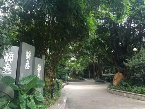 drive way at Bingsheng Zen Tea House in Guangzhou