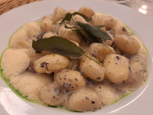 Gnocchi tartufata and portabello mushrooms at Barbarella PLANT Bistro in Ljubljana