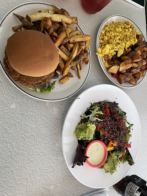 Falafel smash, Vegan sibling (tofu), and power salad   at TUSK in Barberton