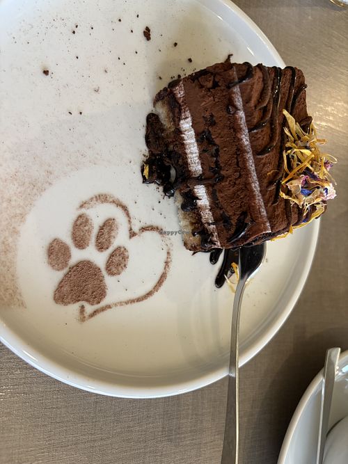   at Katzentempel - Trier  in Trier