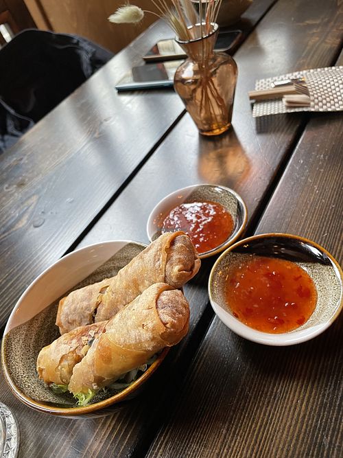 Spring Rolls  at House of Vegan in Leipzig