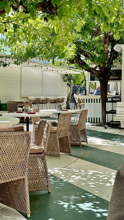   at Nova Terra Kitchen & Creamery in Sebastopol