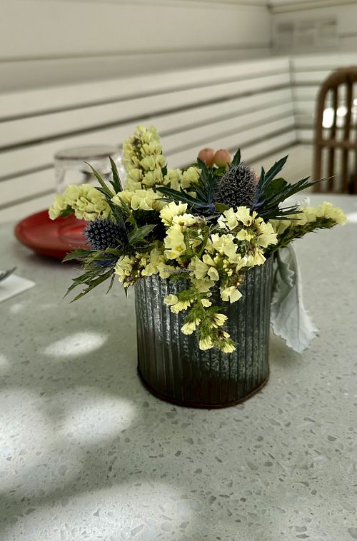   at Nova Terra Kitchen & Creamery in Sebastopol