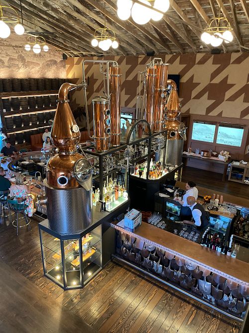 bar   at Nova Terra Kitchen & Creamery in Sebastopol