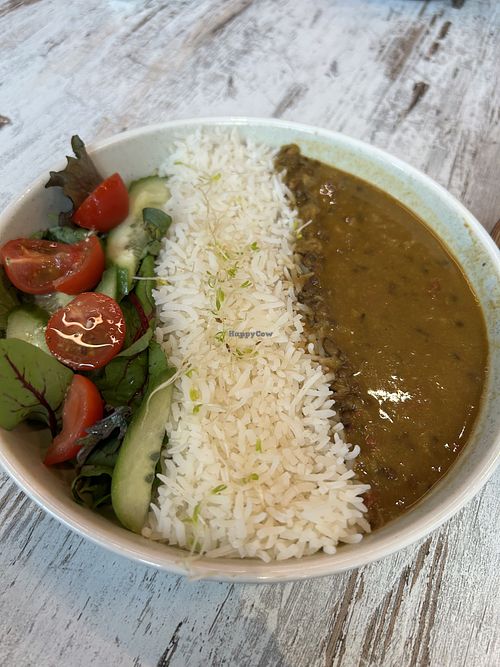 Dahl, rice and salad. Not bad for $12!  at Brewer Sisters in Epping