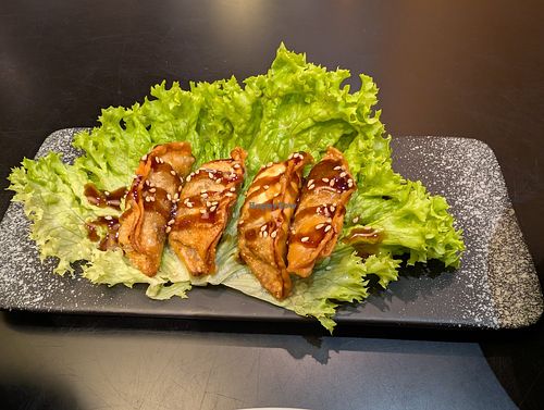 Jiaozi - Dumplings at Home Taste Jia in Kiel