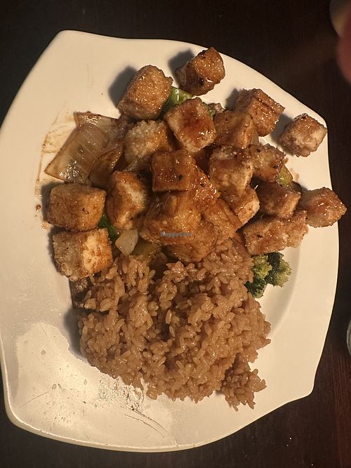 Tofu teriyaki with no egg  at Fusion Sushi in Jacksonville