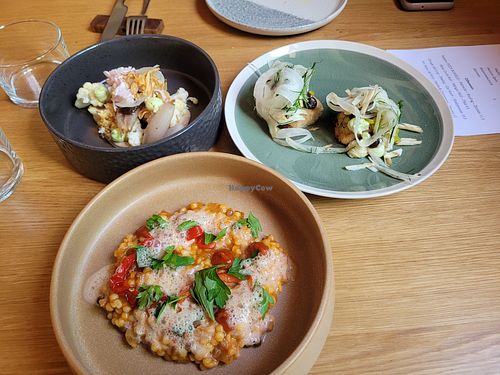 Mains at Concordia in Basel