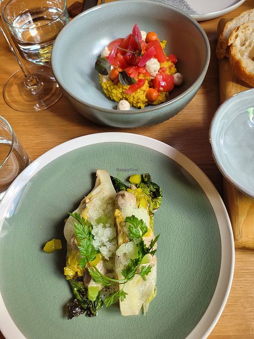 First plates at Concordia in Basel