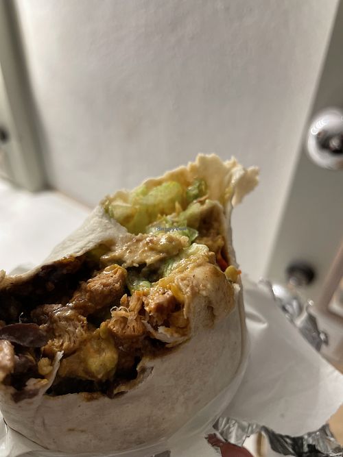 Vegan Lover  at Dolores Burritos in Berlin