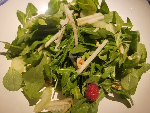 Extremely limited and severely overpriced vegan options: Waldorf salad without cheese, dressing, or even a hint of oil (2990₸)—so just dry rocket with a small amount of apple e at The Kitchen in Astana