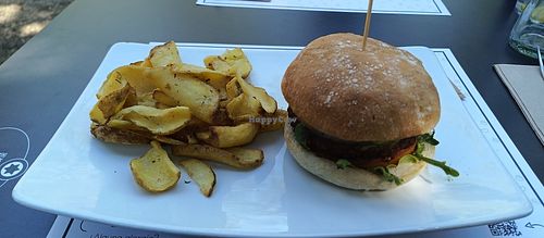 Hamburguesa Vegan de Heura con patatas at The Burger World in Segovia