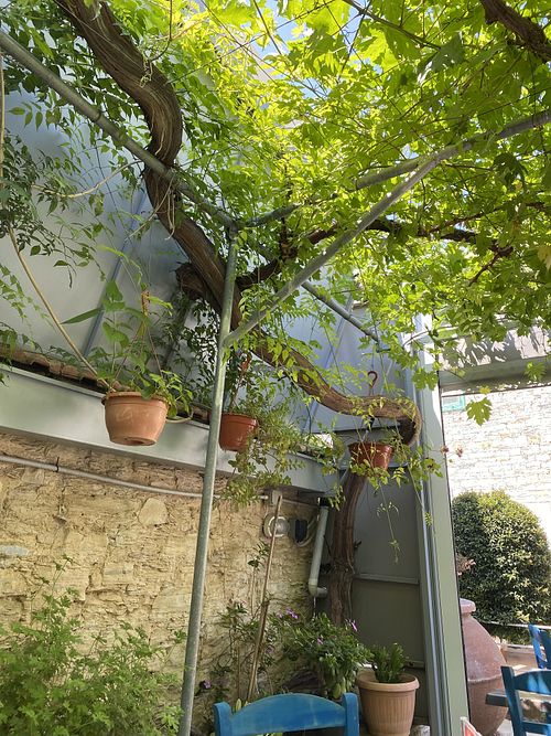   at Coffee Yard Cafe-Restaurant in Lefkara