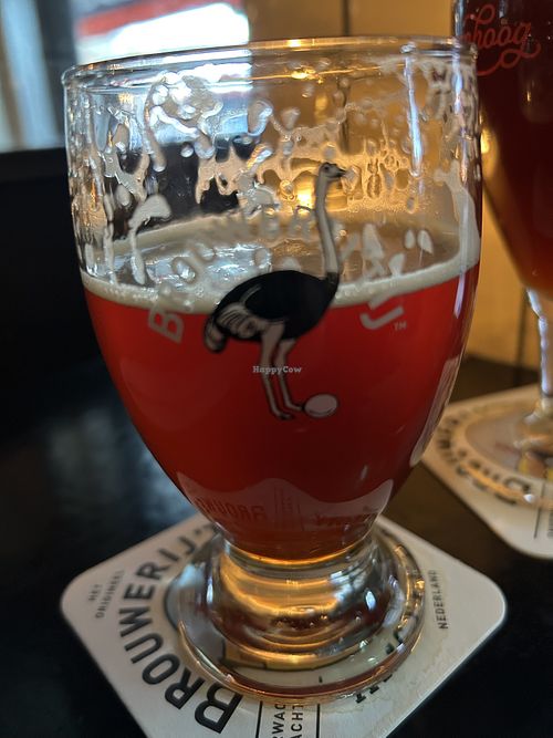 Natte  at Brouwerij 't IJ in Amsterdam
