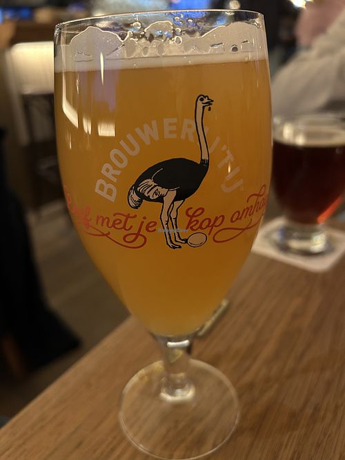 NJ’Ipa  at Brouwerij 't IJ in Amsterdam
