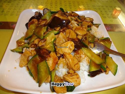 Steamed rice topped with veggies+mushrooms at RMB$10. Restaurant serves meal suitable for vegans & lacto-ovo vegetarians. For vegans, please check for egg-free. at Jue Xi Yuan Vegetarian Restaurant in Tianjin
