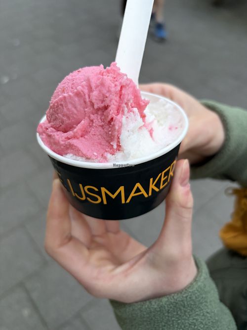 Himbeere & Zitrone (Sorbet)  at De IJsmaker  in Rotterdam
