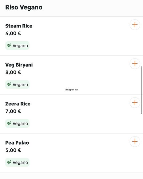 Vegan ricee  at Raj Darbar in Padua