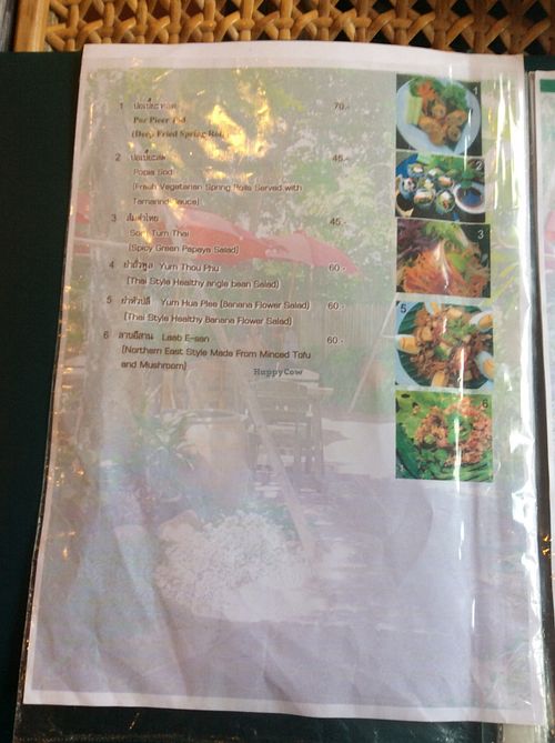 salads and starters at Fuang Vegetarian in Chiang Mai