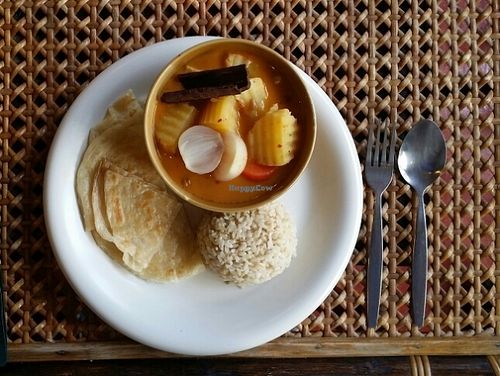 massaman curry with rice at Fuang Vegetarian in Chiang Mai