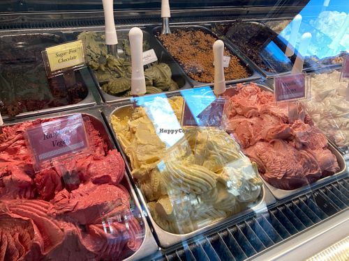 Vegan offerings at Gelatoville in New York City