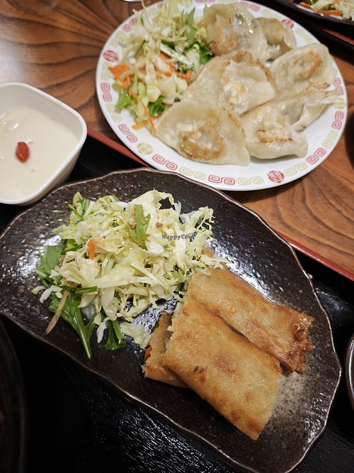 Spring rolls - a little bit greasy but still tasty! at Keiai - 桂愛 in Hiroshima