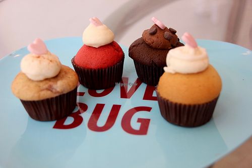 cupcakes  at Bunnie Cakes in Doral