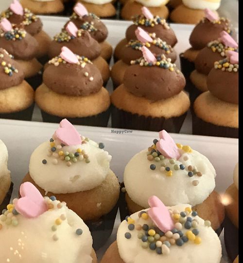 key lime cupcakes and more  at Bunnie Cakes in Doral