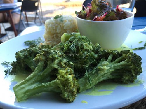 Broccoli, Rice and a green salat at Bistro 'O Porto in Tavira