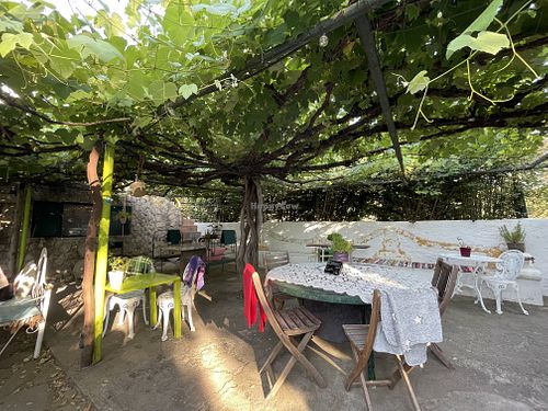   at Jardim de Borboletas in Santo Antonio Das Areias