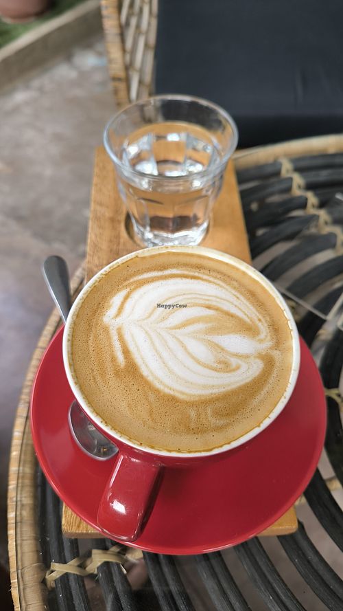  at Devozen Cafe in Malapascua Island